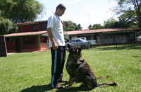Knino_entrenamiento